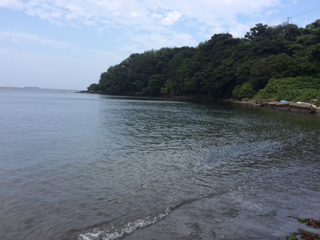 海〜!! 海〜!!