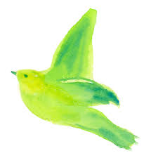 鳥のように 鳥のように