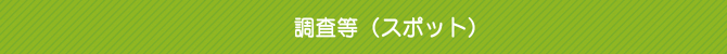調査等(スポット) 調査等(スポット)